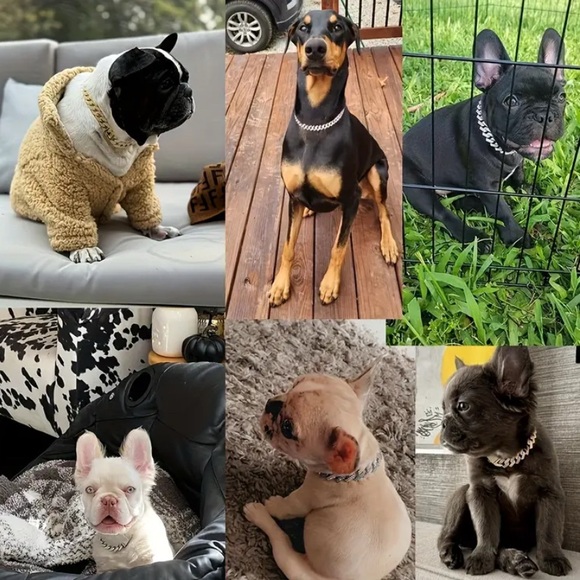 (New in package)Medium Elegant Silver Dog Collar - Picture 5 of 6